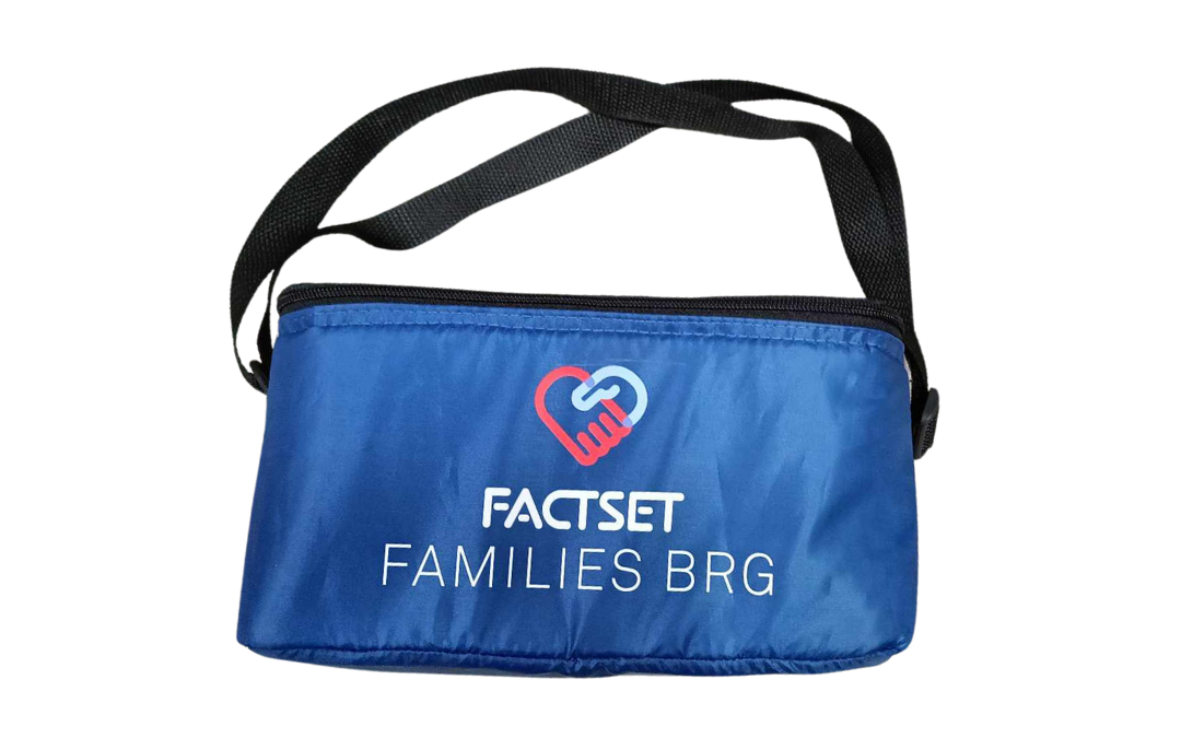 Insulated Bag with Adjustable Strap (FACSET)